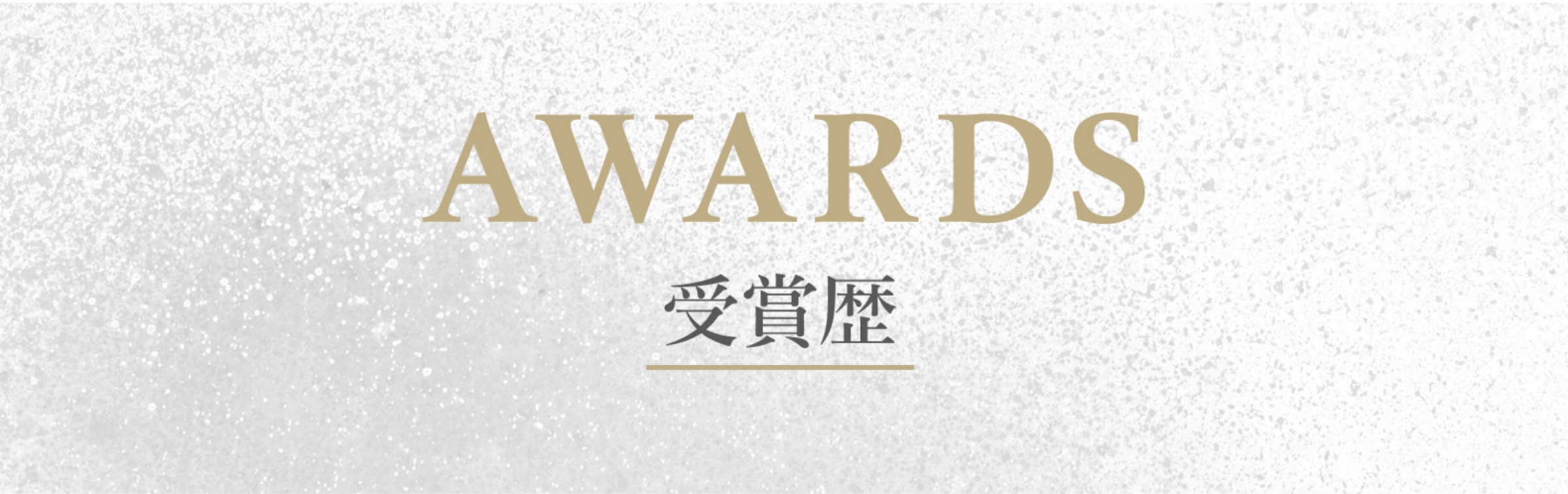 AWARDS 受賞歴